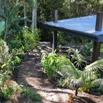 Gold Coast landscaping photo 17